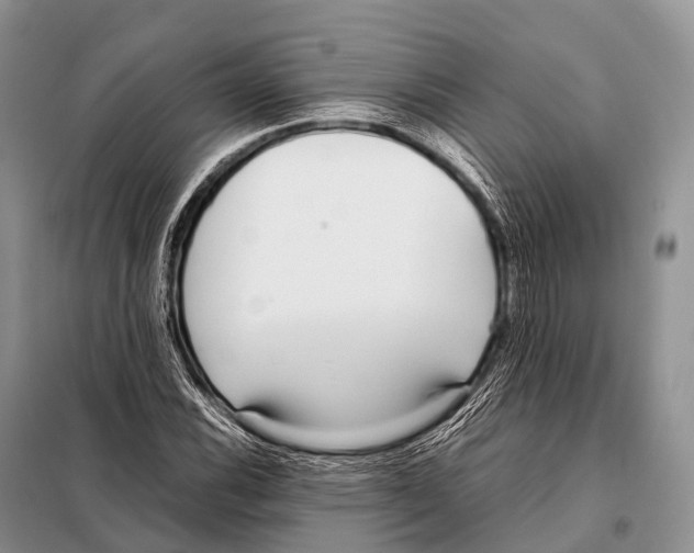 X0000098121116200805021150
