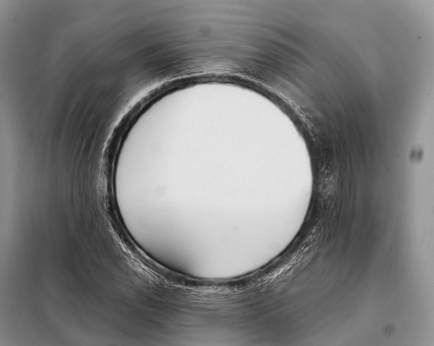 X0000098121118200805021150