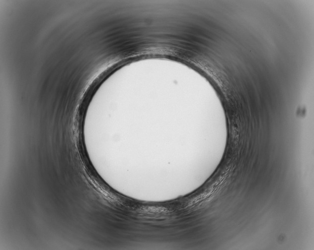 X0000098121119200805021150