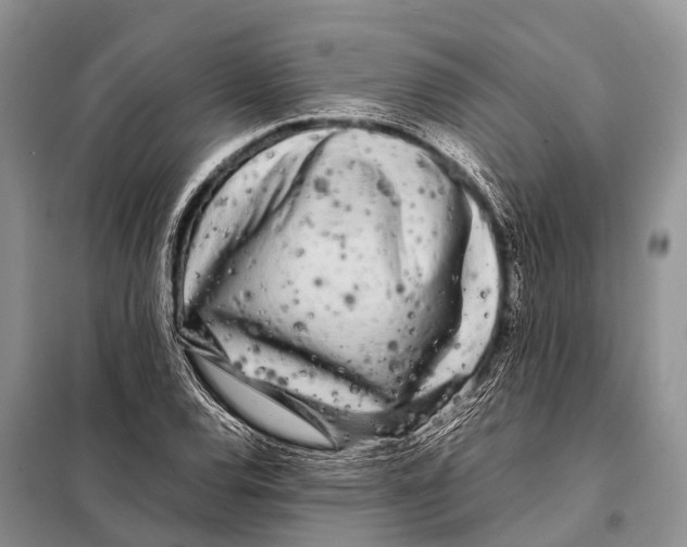 X0000098121120200805021150