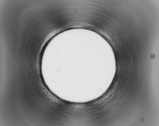 X0000098121122200805021150
