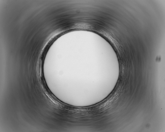 X0000098121123200805021150