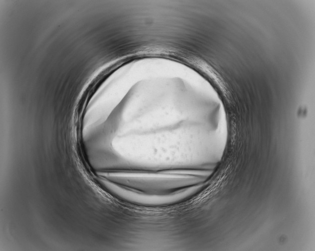 X0000098121124200805021150