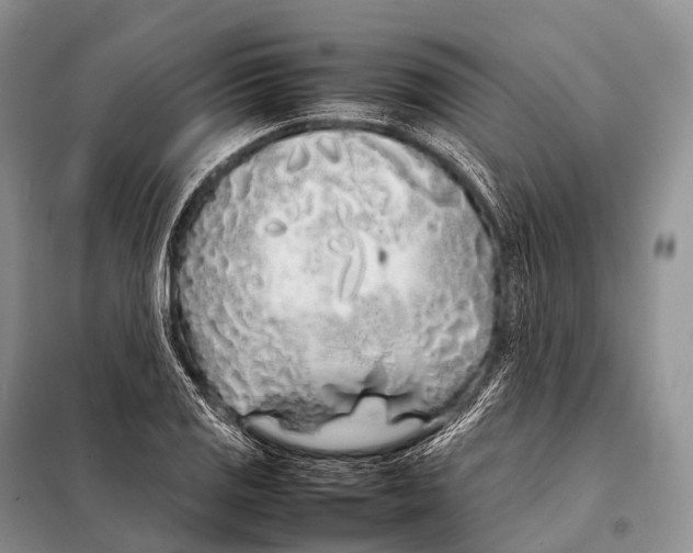 X0000098121125200805021150