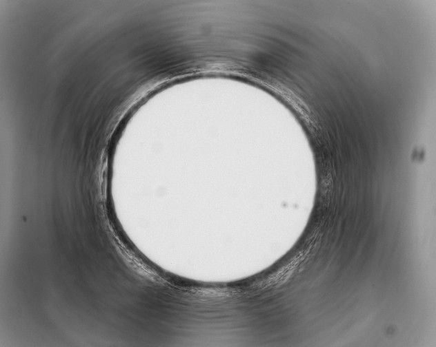 X0000098121126200805021150