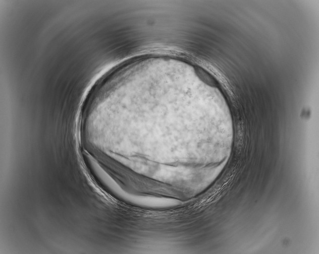 X0000098121128200805021150