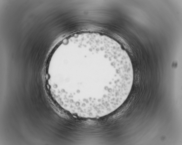 X0000098121130200805021150