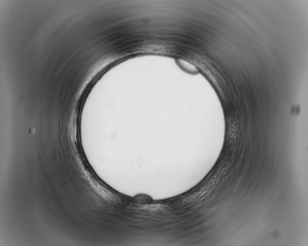 X0000098121131200805021150