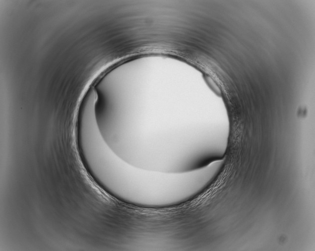 X0000098121132200805021150
