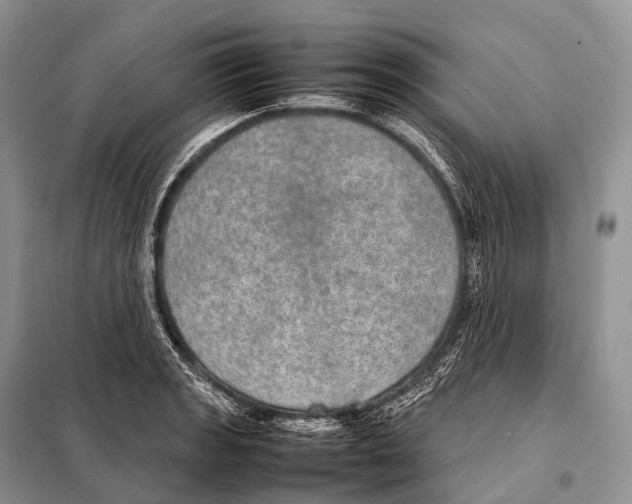 X0000098121133200805021150