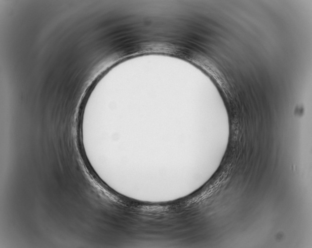 X0000098121135200805021150