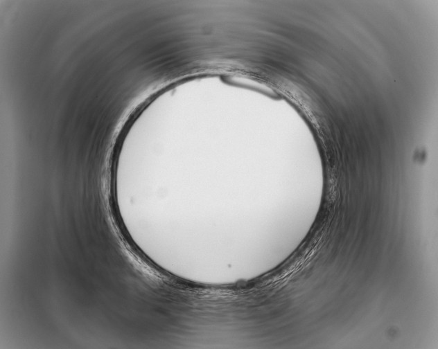 X0000098121136200805021150