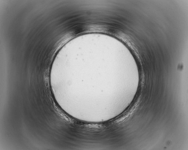 X0000098121137200805021150