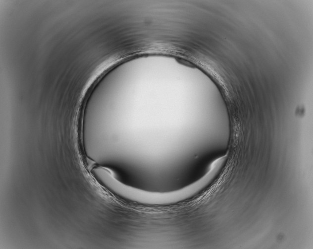 X0000098121138200805021150