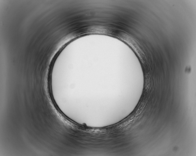 X0000098121139200805021150