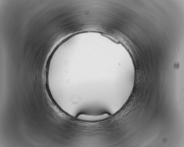 X0000098121140200805021150