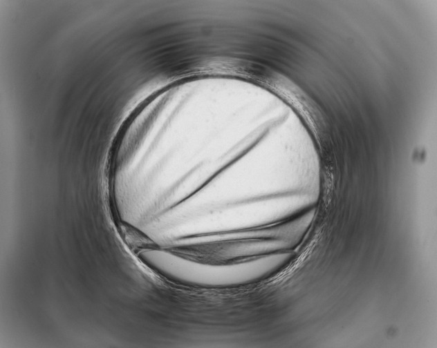 X0000098121141200805021150
