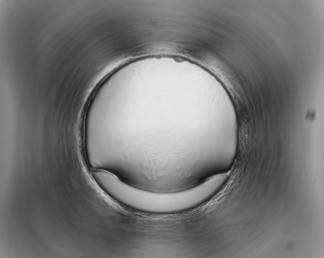 X0000098121142200805021150