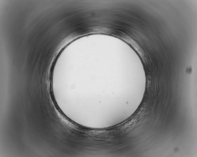 X0000098121143200805021150