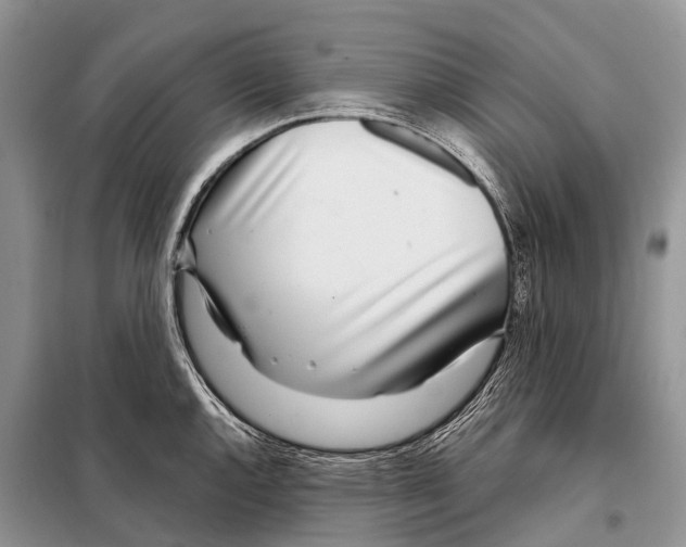 X0000098121144200805021150