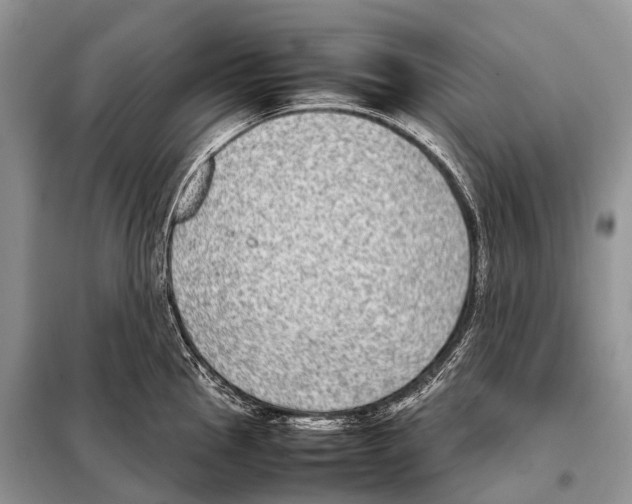 X0000098121145200805021150