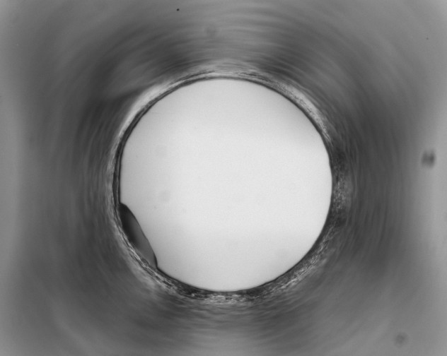 X0000098121146200805021150