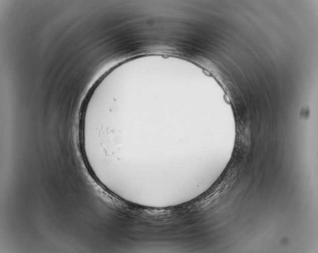 X0000098121147200805021150