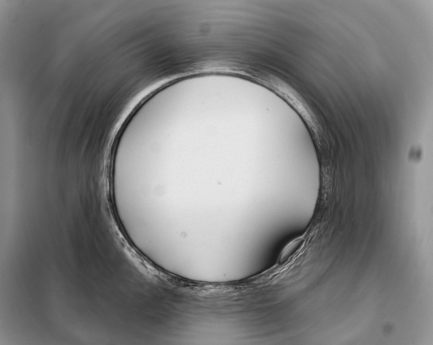 X0000098121148200805021150