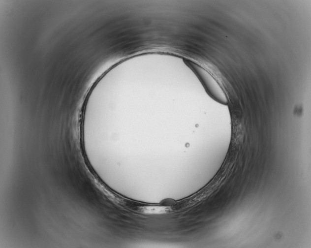 X0000098121151200805021150