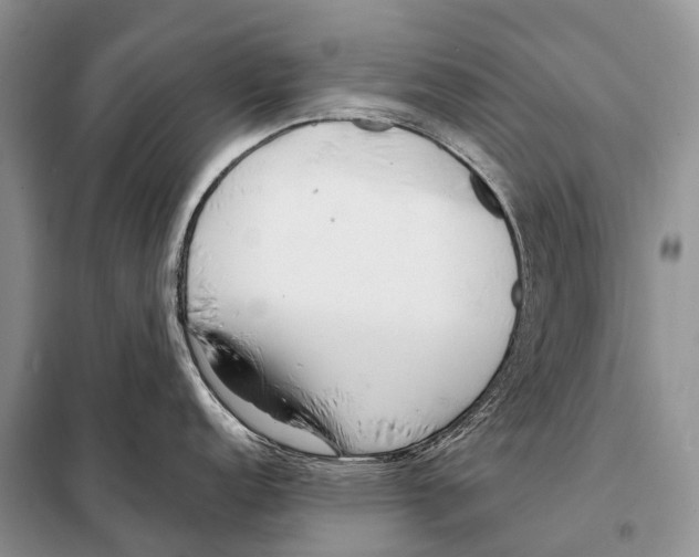 X0000098121152200805021150