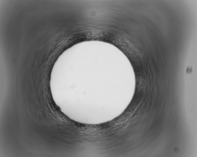 X0000098121153200805021149