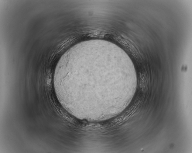 X0000098121154200805021149