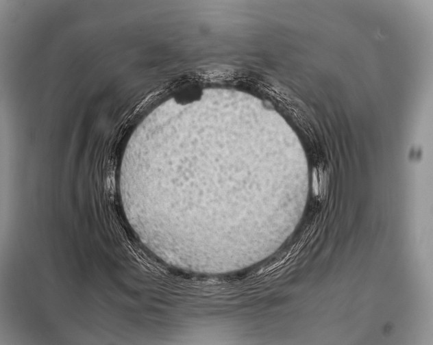 X0000098121155200805021149
