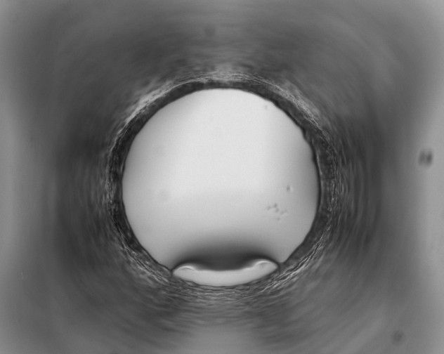 X0000098121160200805021149