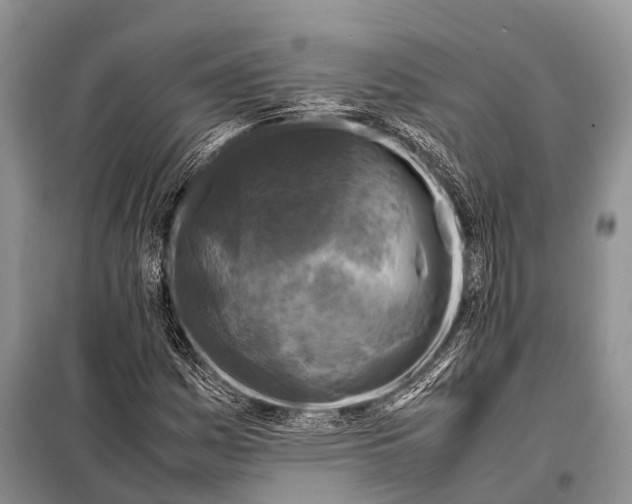 X0000098121161200805021149