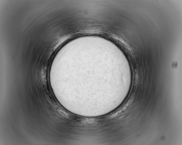 X0000098121162200805021149