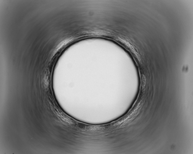 X0000098121163200805021149