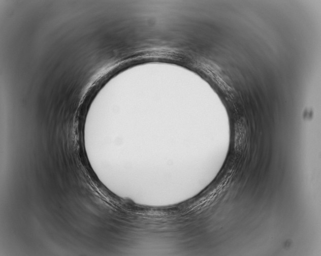 X0000098121164200805021149
