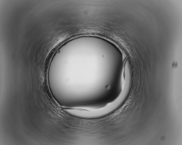 X0000098121165200805021149