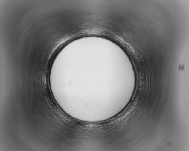X0000098121166200805021149