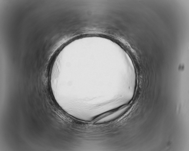 X0000098121167200805021149