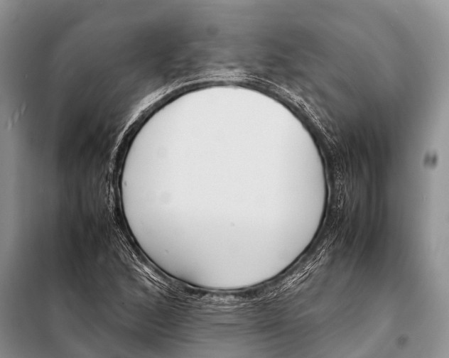 X0000098121168200805021149