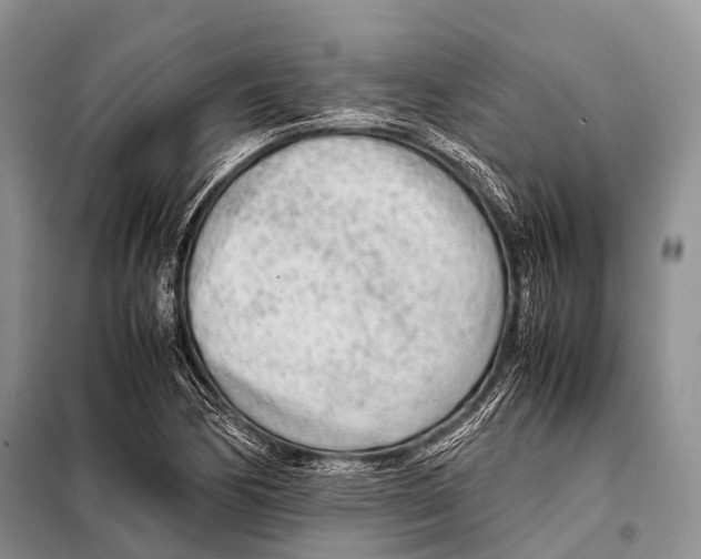 X0000098121170200805021149