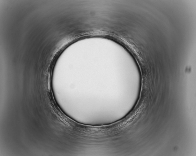 X0000098121171200805021149
