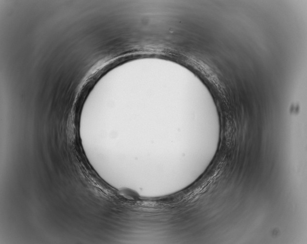 X0000098121172200805021149