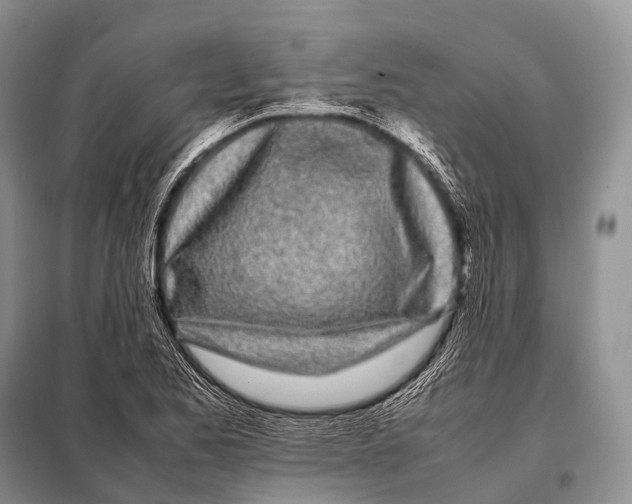 X0000098121173200805021149
