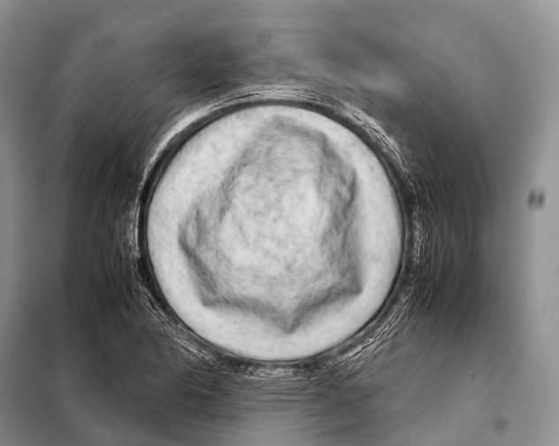 X0000098121174200805021149