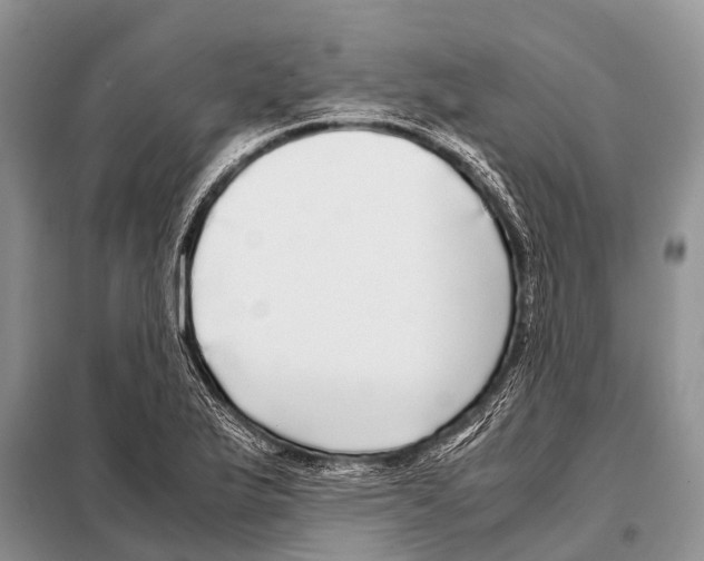 X0000098121175200805021149
