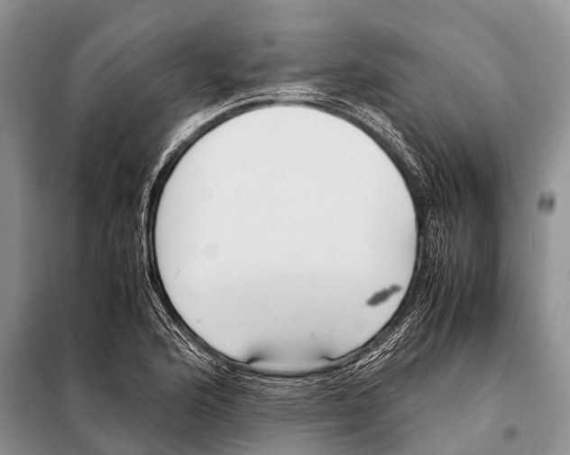X0000098121176200805021149
