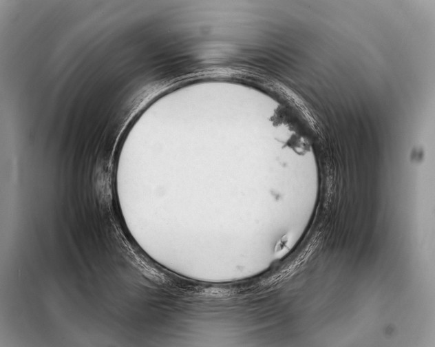 X0000098121178200805021149